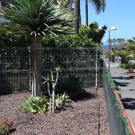 Andromeda Apartament