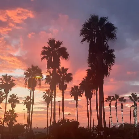 Andromeda شقة بالم مار