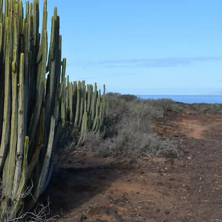 Andromeda Apartamento *