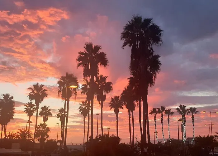 Andromeda Appartement Palm-mar