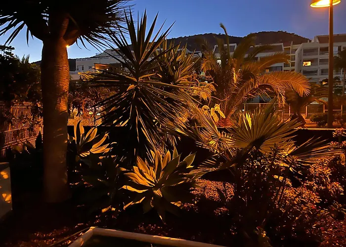 Appartement Andromeda Palm-mar