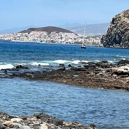 Andromeda * 滨海帕尔姆